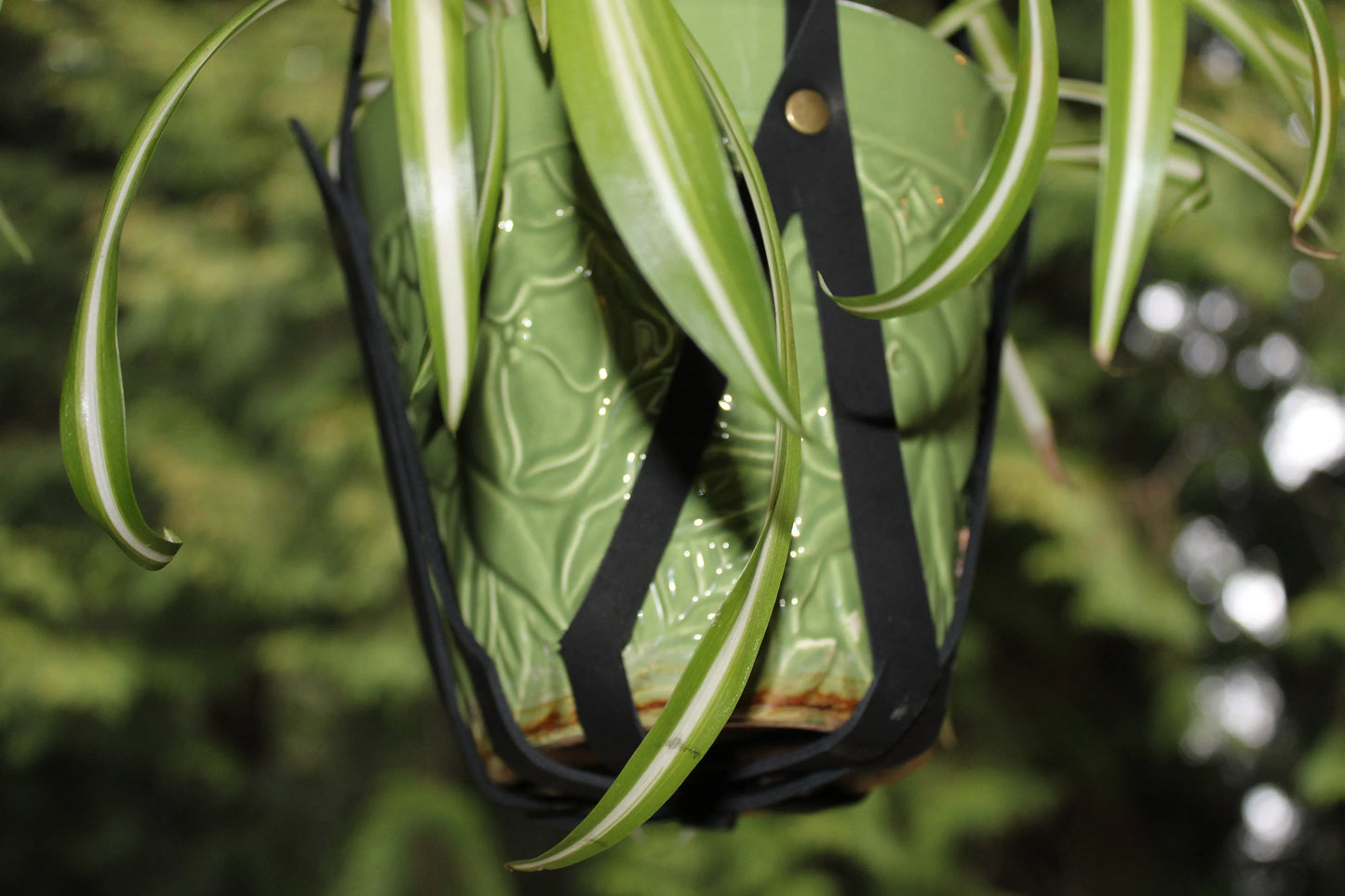 Minimalist Plant Hanger, Plant Mom Gift, Indoor Plant Hanger, Bedroom Wall Hanging, Leather Plant Hangers, Plant Hanging, Leather Home Decor