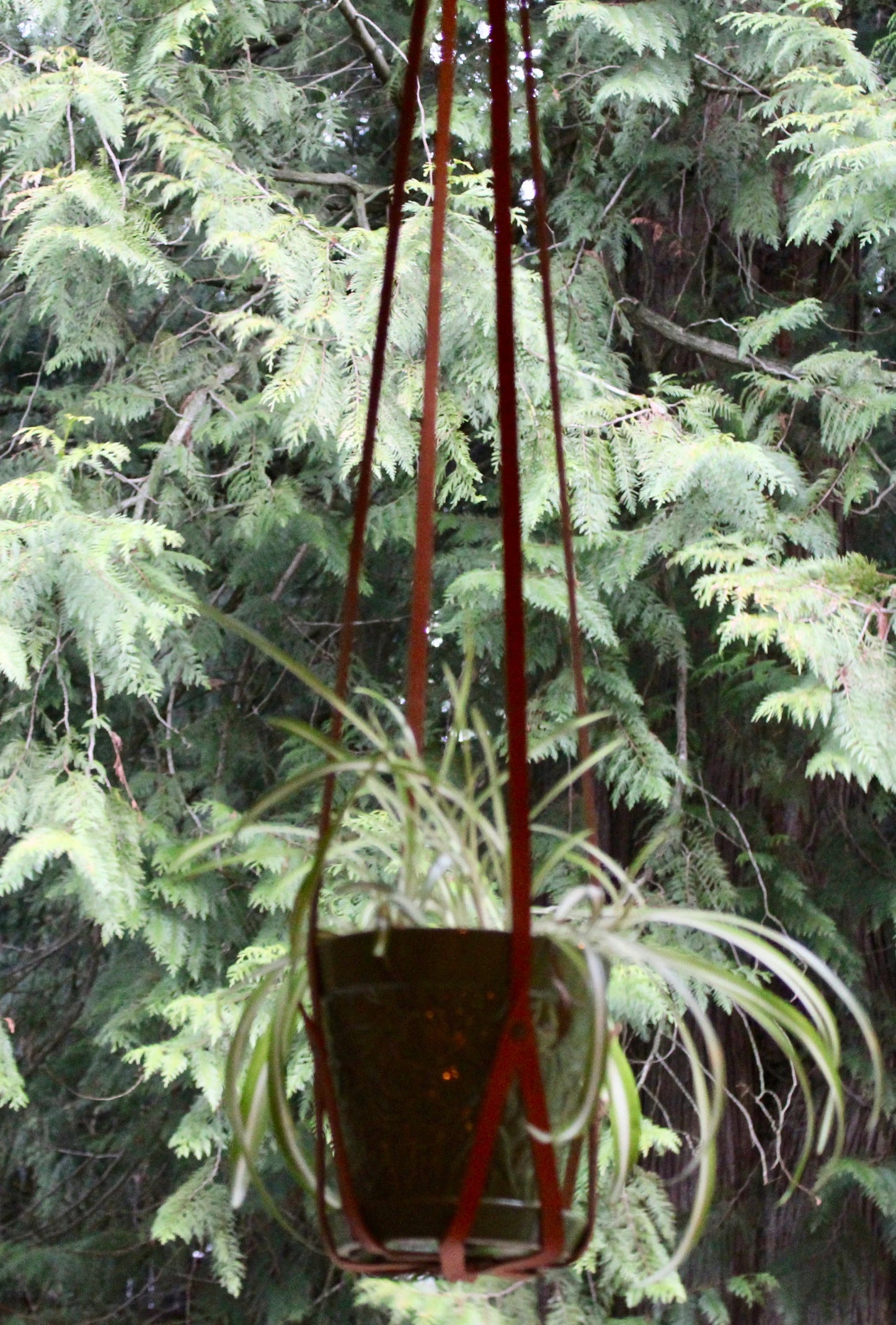 Minimalist Plant Hanger, Plant Mom Gift, Indoor Plant Hanger, Bedroom Wall Hanging, Leather Plant Hangers, Plant Hanging, Leather Home Decor